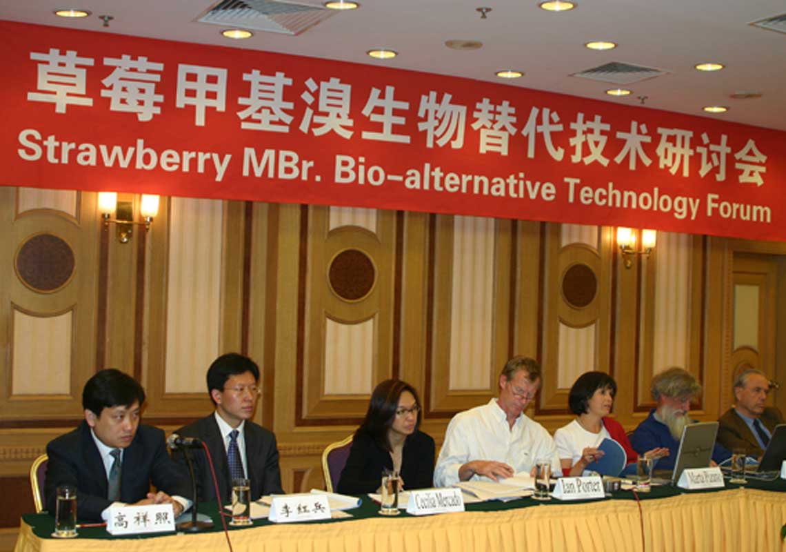 聯(lián)合國環(huán)境署、聯(lián)合國工發(fā)組織等機(jī)構(gòu)出席了我公司舉行的草莓甲基溴生物替代技術(shù)研討會(huì)